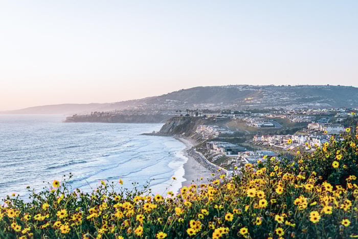 Orange County beach ocean AdobeStock_261123863