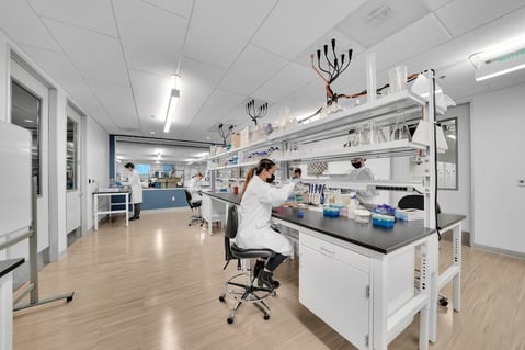 Three workers in a lab