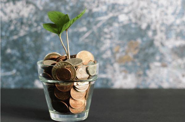 coins in cup with plant growing
