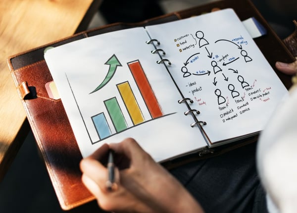 company goal and plan