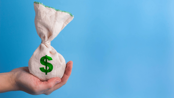 Bag of money