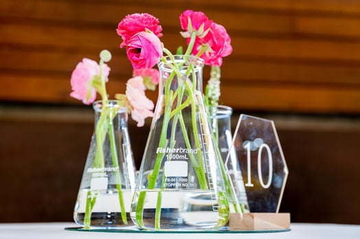 flowers in beakers
