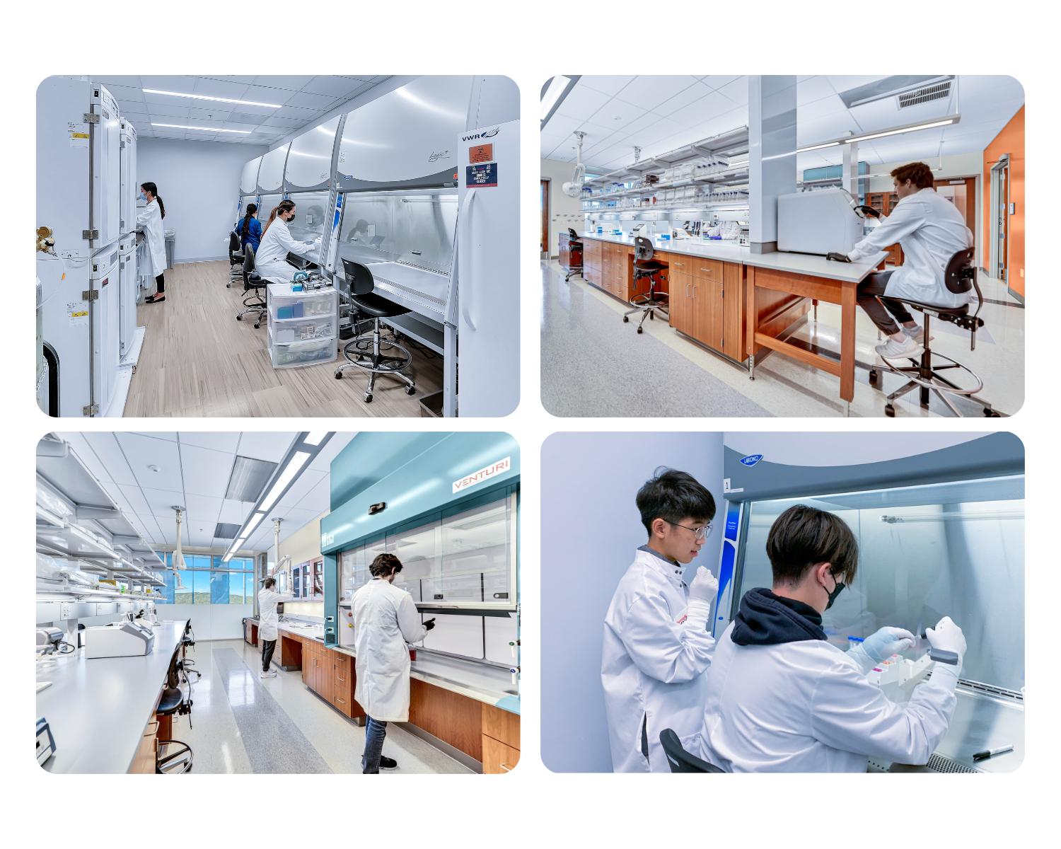 ULP Webpage collage-2
