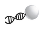 ElectroNucleics About Us Logo