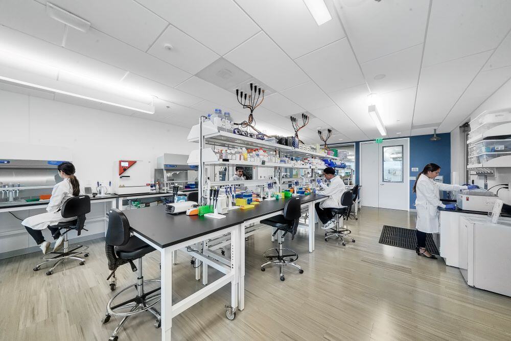 Innovative Funding Strategies for Life Science Startups