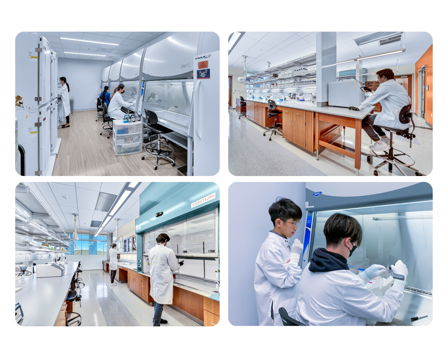 ULP Webpage collage-2